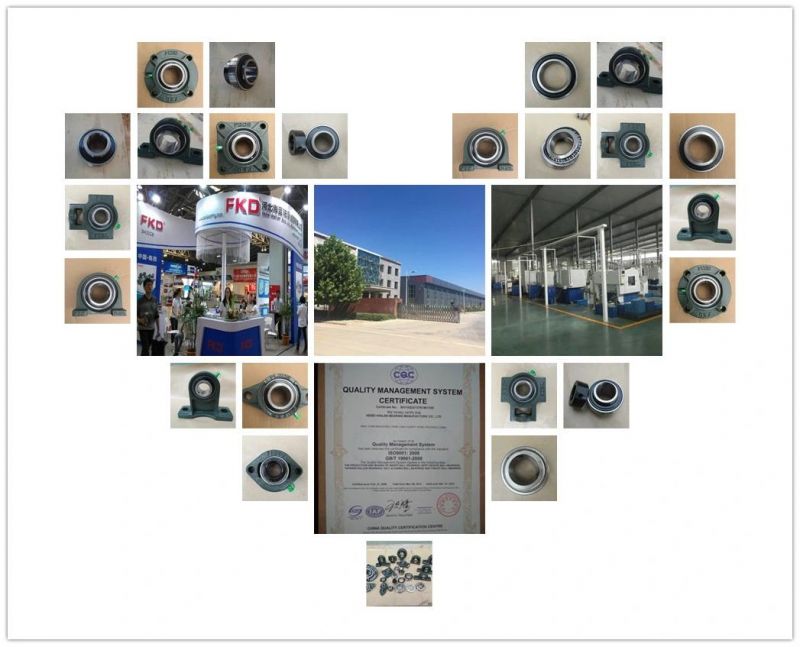 Z2V2 Quality, Gcr15 Pillow Block Bearings, Ball Bearings (used in machines)