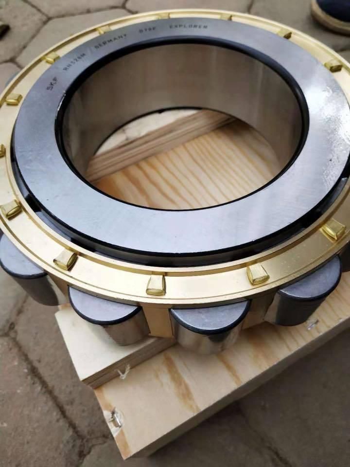 China OEM Service Pillow Block Bearing