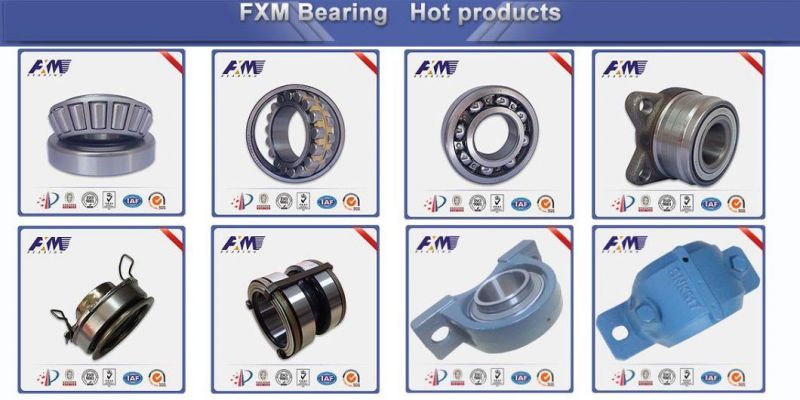 Insert Ball Bearing UC201 to UC210 Comply with ISO Standards