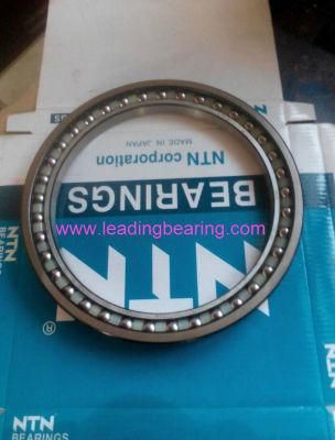 NTN NSK Koyo Excavator Walking Bearing