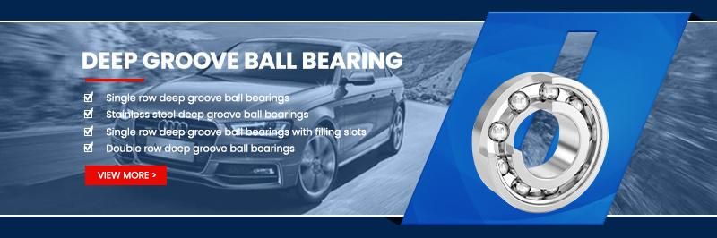 Xinhuo Bearing China Ceramic Ball Bearing Factory Deep Groove Ball Bearing with Filling Slot Bl 309 62142RS Deep Groove Ball Bearing