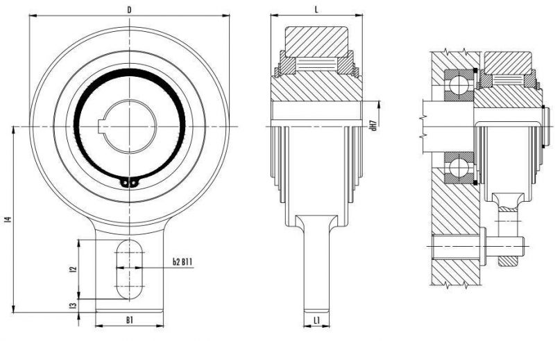 Gvg 40 Gvg40 One-Way Bearings Bucket Elevator Backstop Clutch