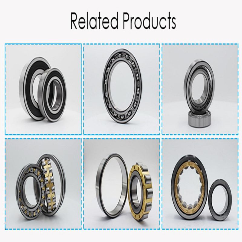 Hot Sale Cylindrical Roller Bearing Cheap Nu/Nj/N/Nup 240 242 246 248 250