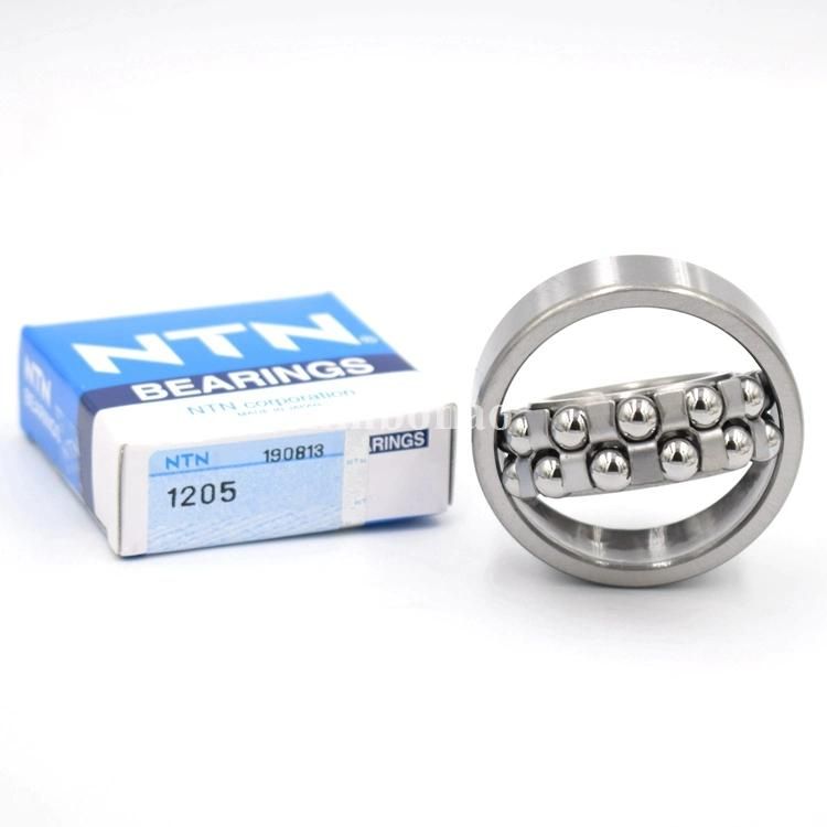 Low Noise Double Row 1201 1202 Etn9 1204 1205 1206K 2206K 2207K 2208K NTN Koyo NSK NACHI Brand Self-Aligning Ball Bearing