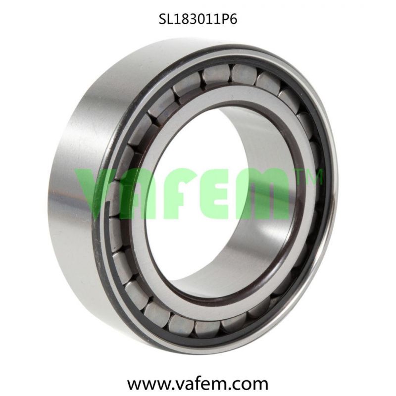 Cylindrical Roller Bearing Mu1205/Roller Bearing/Full Complement Roller Bearing/China Factory