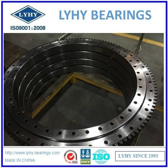 Lyhy Single Row Ball Slewing Bearings with External Teeth 2ie. 064.00