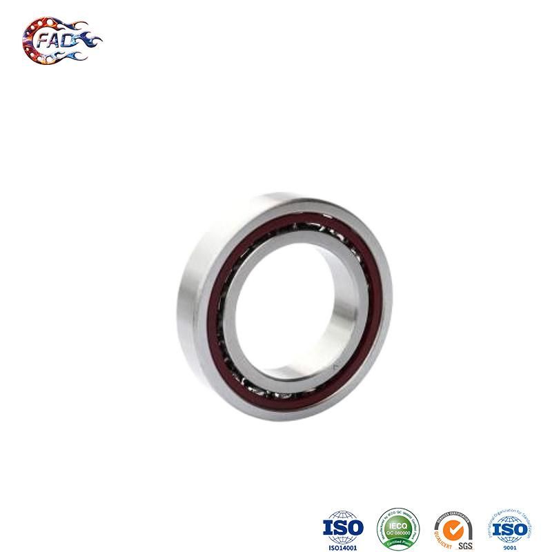 Xinhuo Bearing China Double Row Spherical Roller Bearing Own Brand Bearing High Temperature Resistant Peek Bearing Plastic Engineering Bearing 6004 7208AC