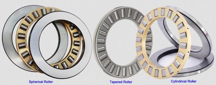 205mm Ttsv205 Cylindrical, Tapered and Spherical Thrust Roller Bearing Factory