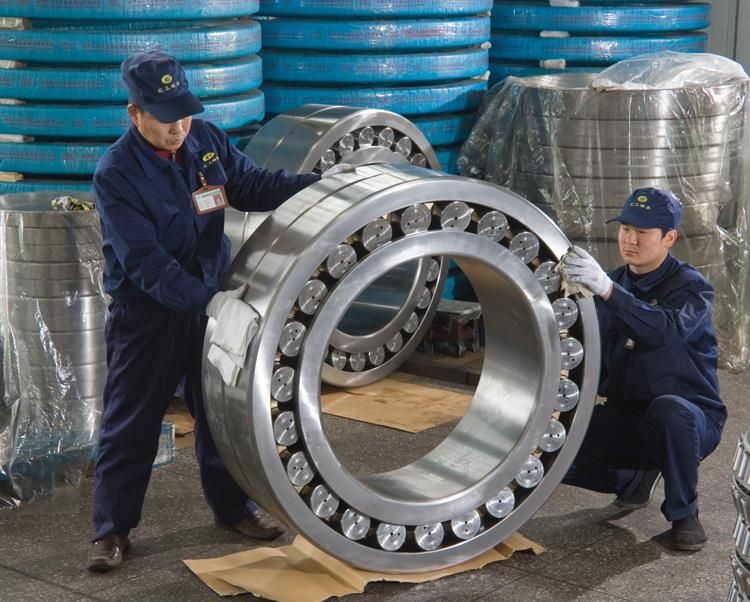 1250mm Nnu41/1250 44827/1250 Double Rows Cylindrical Roller Bearing