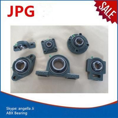 China Factory Pillow Block Bearing Ucf305-16 Ucf306-18 Bearing