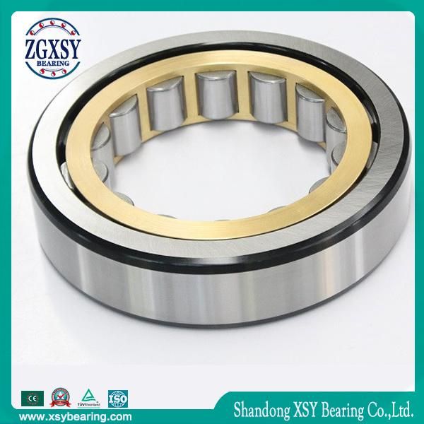 Cylindrical Roller Bearing Single Row 300*460*74mm Nu1060