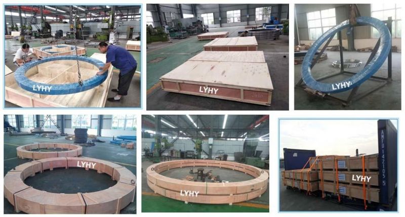 (Rotek L6-29E9Z) Excavator Slewing Ring Bearing External Toothed Turntable Bearings Excavator Swing Bearing for Crane Excavator Bearing