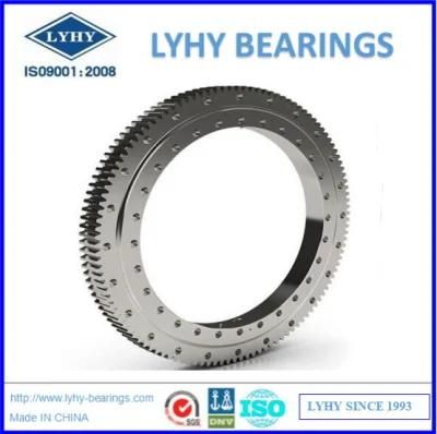 Slewing Ring Bearings Gear Bearings Turntable Bearings Rks. 21 1091