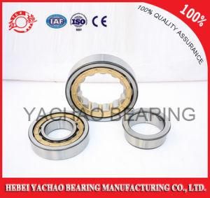 Cylindrical Roller Bearing (N203 Nj203 NF203 Nup203 Nu203)