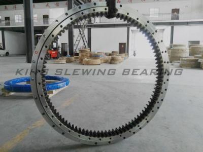 Excavator Slewing Bearing Slewing Ring Bearing 21m-25-11101 Used for PC600LC-8 No MOQ Request