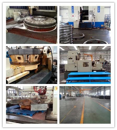 Bearing Industry Leader Zys Slewing Bearing for Excavator for Dual Axis Solar Tracker 110.28.1000