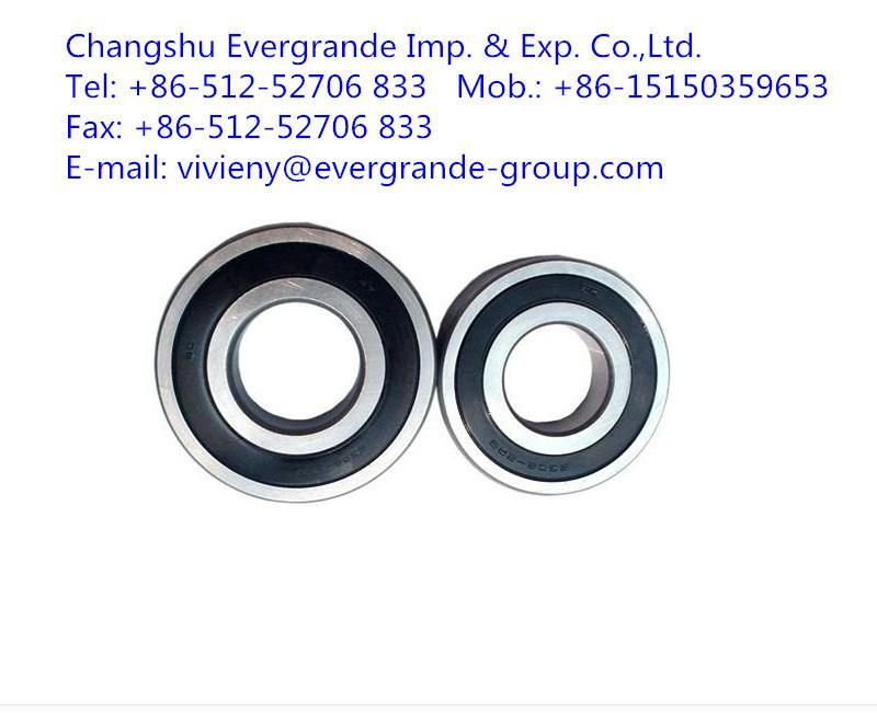 Deep Groove Bearing