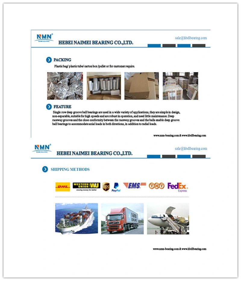 Nice Quality Grooved Nr Ball Bearing 6300 Series 6301 6302 6303 6304 6305 Open Zz 2RS Ball Bearing Clearance C1 C2 C3