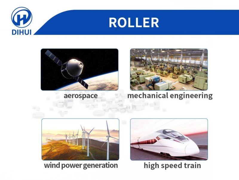 38X62 Gcr15 AISI52100 100cr6 Suj-2 Stainless Roller for Bearings