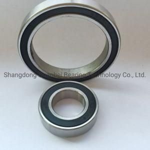 Deep Groove Ball Bearing 6202 Stainless Steel Ball Bearing