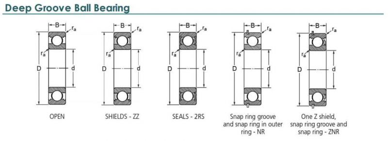 Professional Motorcycle Bearing 6215-ZZ/2RS Deep Groove Ball Bearing