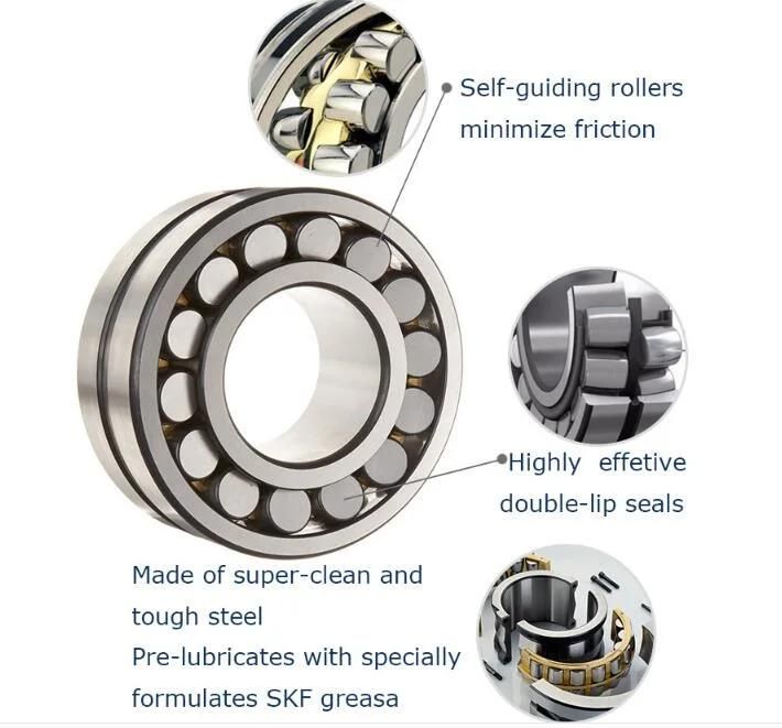 Gcr15 Pillow Block Bearing Insert Bearing Famous Deep Groove Ball Bearing Cylindrical Roller Bearing Spherical Roller Bearing