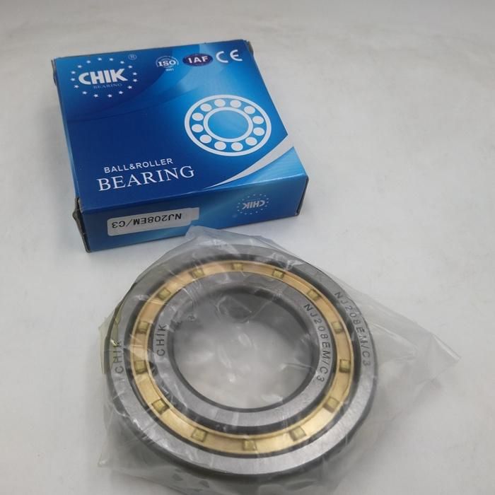 SKF Germany P6 Cylindrical Roller Bearing Machine Bearing Em Ecp Ecj Nj305 2305 Nj306 2306 Nj 307 2307 308 2308