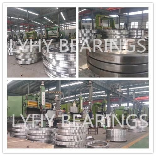 Internal Gear Slewing Ring Bearing 1078DBS101y  Rotary Bearing