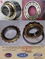 Cylindrical Roller Bearing Nu, N, Nj, NF, Nup, Nh, Nclv...., Nb, Nu...V, Nnu, Nncf, Nncl, Nncs Type