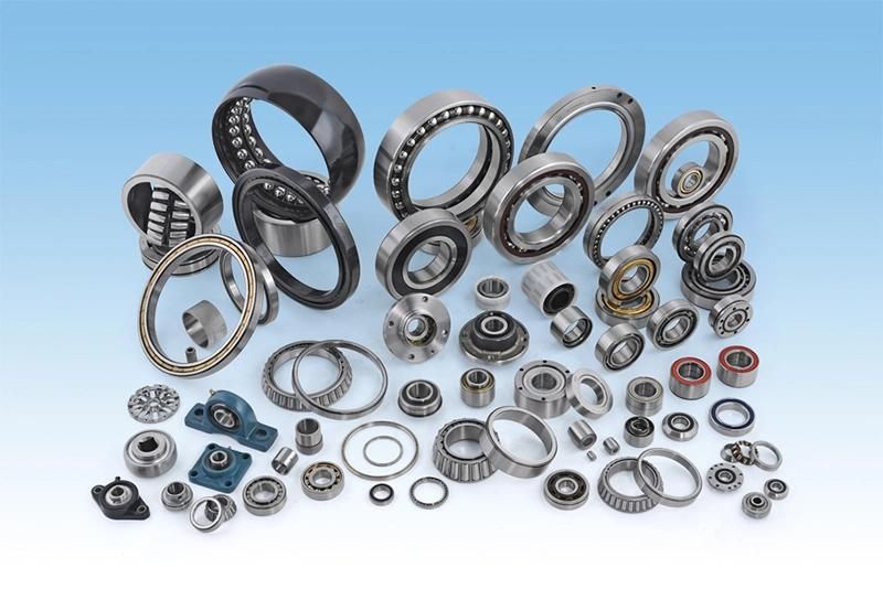 Needle Roller Bearing/Needle Bearing/Bearing/Roller Bearing/45