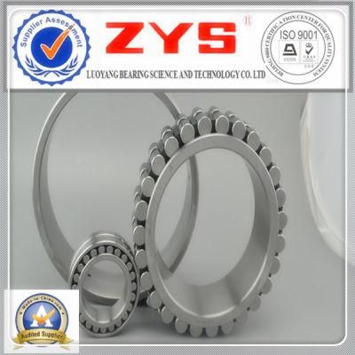 Single Row Cylindrical Roller Bearings Nn3024K