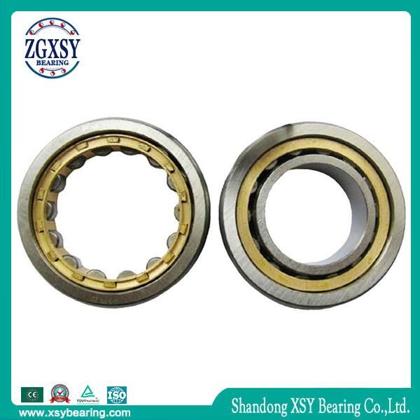 Cylindrical Roller Bearing Nu1021c3 with Good Price