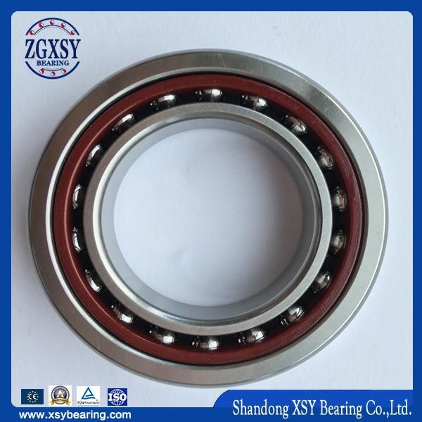 High Quality Automotive Angular Contact Bearings (7300)