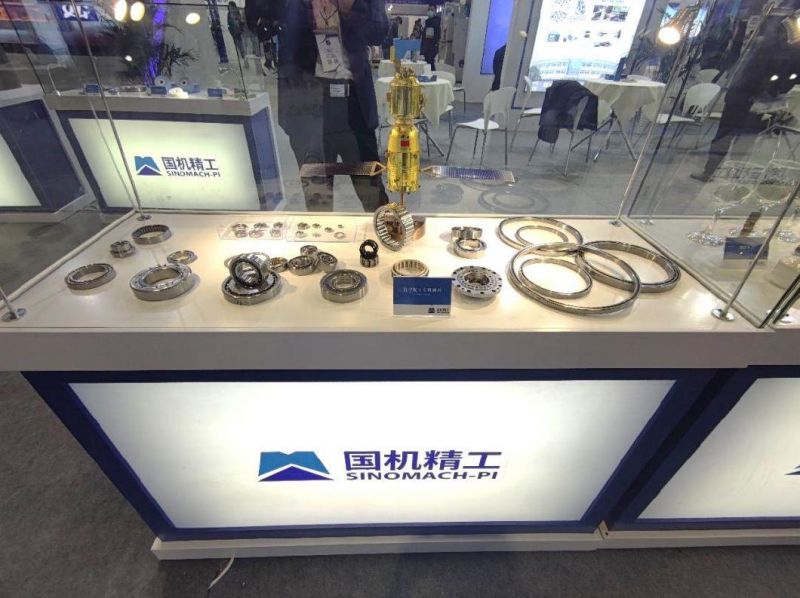 Auto Part Thrust Ball Bearing, Roller Bearing, Insert/Pillow Block Bearing, Wheel Hub Bearing, Needle/Spherical/Cylindrical/Taper Roller Bearing Slewing Bearing