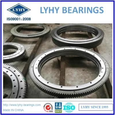 Single Row Roller Bearing 06-1595-04 Slewing Bearing 06-1790-09 Slewing Ring Bearing 06-2002-00