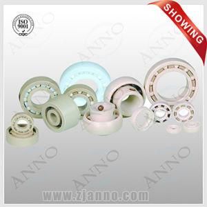 Full Ceramic Bearing