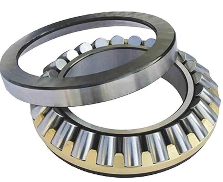 495mm Ttsv495 Cylindrical, Tapered and Spherical Thrust Roller Bearing Factory