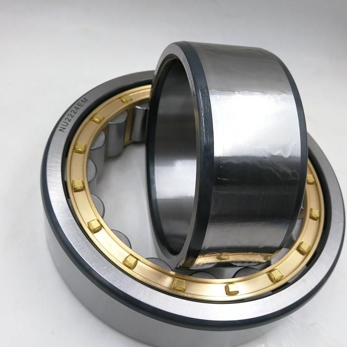 SKF Germany P6 Double Row Cylindrical Roller Bearing Nu Nj 307 2307 Nj308 Nj2308 Nj309 Nj2309