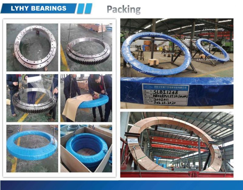 Light Type Slewing Bearing Ring Bearing Ebl. 20.0544.200 -1sptn