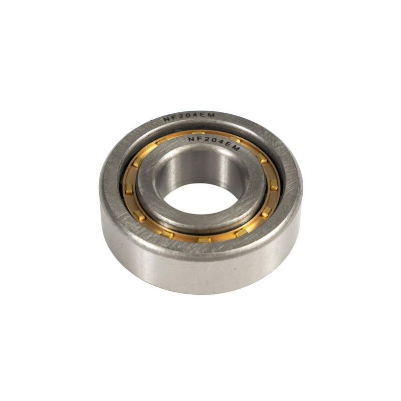 High Quality Cylindrical Roller Bearing Nu310 Nu310e Bearing