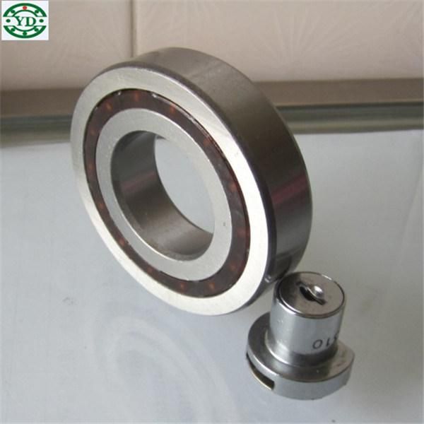 One Way Moving Bearing One Way Turning Bearing Csk8PP Csk10PP Csk12PP Csk15PP