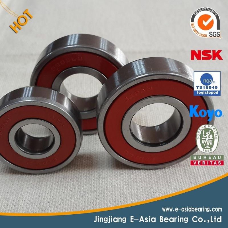 69 Series Deep Groove Ball Bearing