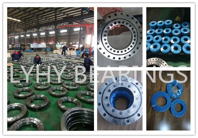 Lyhy Factory Swing Bearing with Internal Gear 1248DBS108y Slewing Ring Ball Bearing