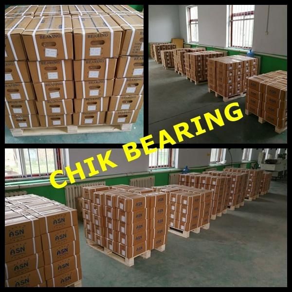 Single Row Cylnidrical Roller Bearings (NU 1956 E BEARING)