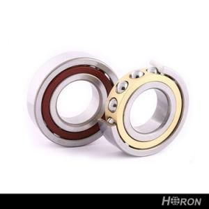 Angular Contact Ball Bearing (7034 BGM)