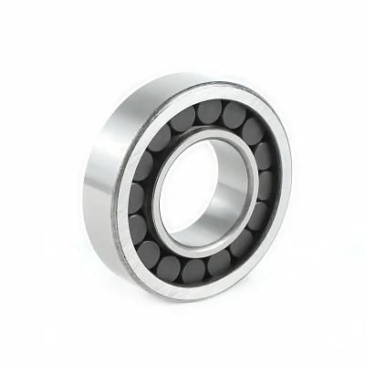 Best Selling N/NU/NJ Series Low Noise/High Precision/Long LifeSingle Row Cylindrical Roller Bearing