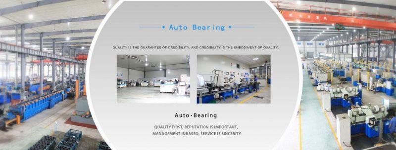 Spherical Roller Bearing 24036cak30/W33