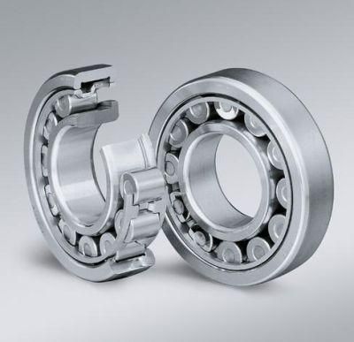 Cylindrical Roller Bearing Nu2319e Nu2319q1 Nj2319 Nj2319e N419 Nu419 Nj419 Nup419 Transport Machinery Cage Medium and Large Motors Generators