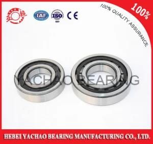 Cylindrical Roller Bearing (N417 Nj417 NF417 Nup417 Nu417)