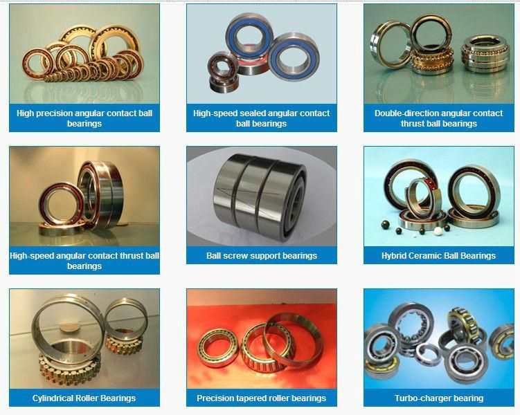 Zys Chinese Bearing Cheap Angular Contact Ball Bearing HS7022